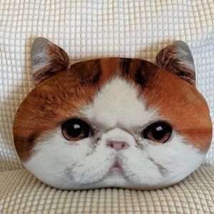 Cat pillow
